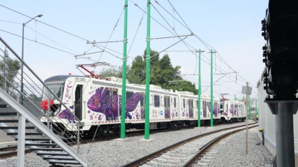 Brugada defiende el uso del ajolote en proyectos de la CDMX